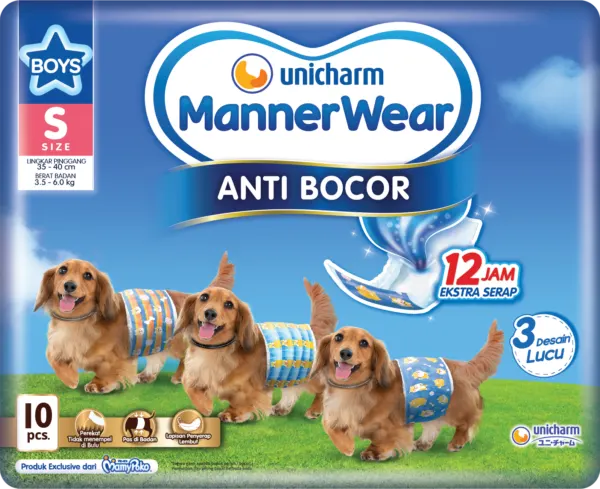 3d packshot boys s