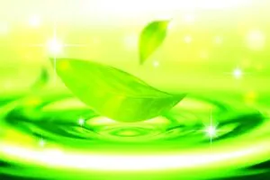 deo-sheet green aroma