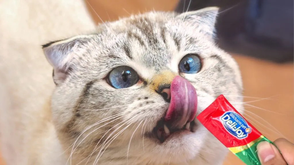 Ekspresi kucing menjulurkan lidah sedang menikmati treats Deli-Joy