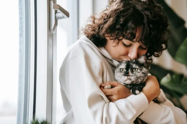 Panduan dan Tips Cara Adopsi Kucing
