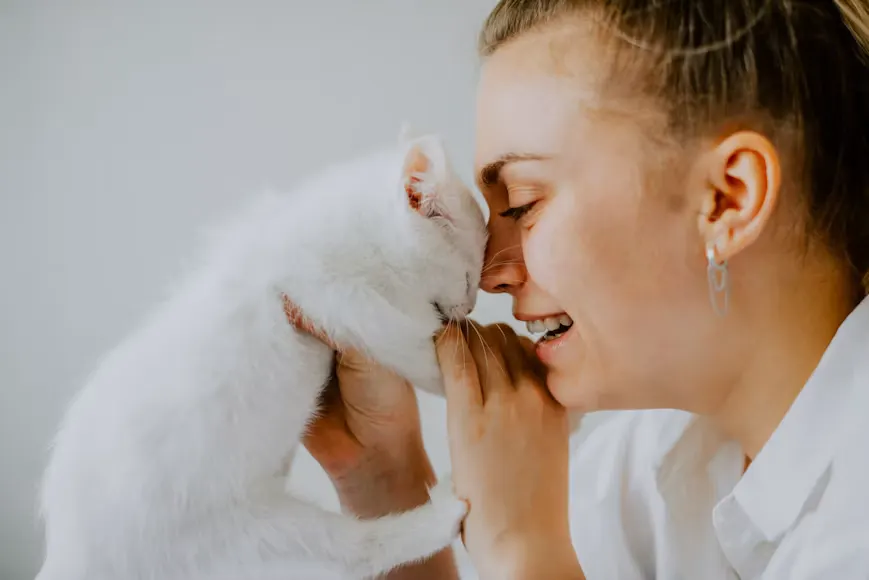 8 Penyebab Kucing Menangis dan Cara Mengatasinya